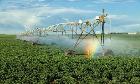 Smart Pumps: The Smart Choice for Agricultural Irrigation